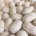 Silk – natural, protein, animal fibers