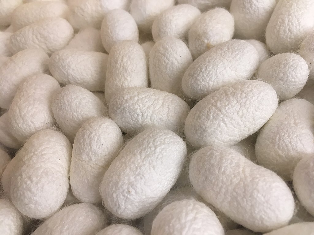 Silk - natural, protein, animal fibers - Textile School