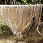 Natural Cellulosic Seed Fibres