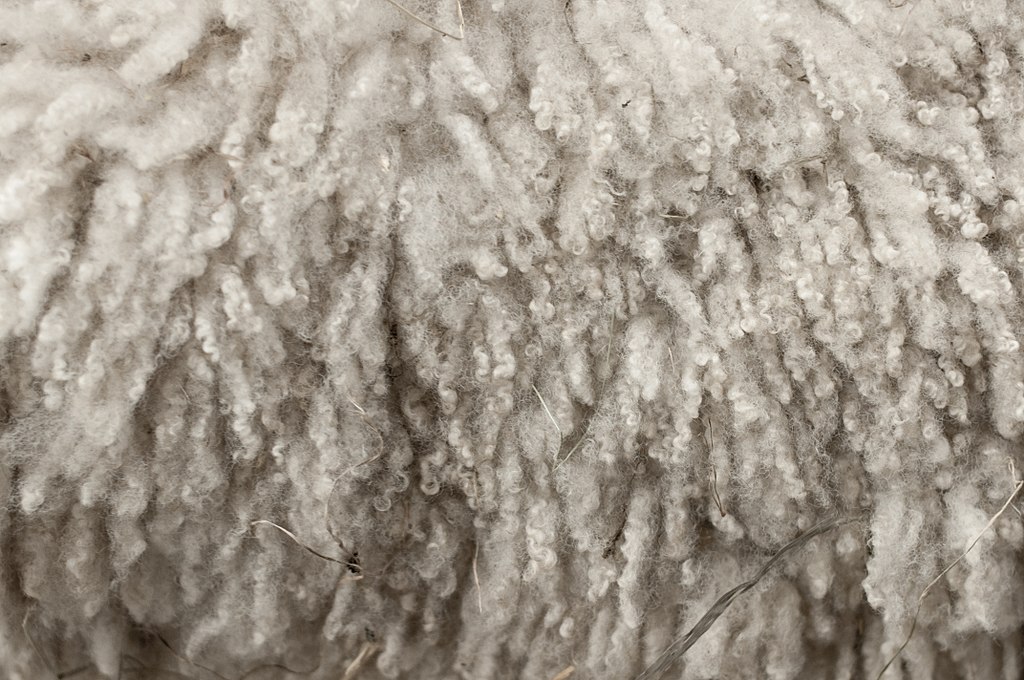 Wool Fiber – Natural Protein Fibers
