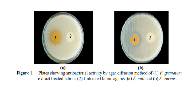 antibacterial-activity-agar-diffusion-method