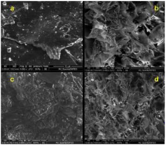 Study on application of reduced Graphene Oxide on cotton fabric for  Breathable Waterproof finish - Textile School